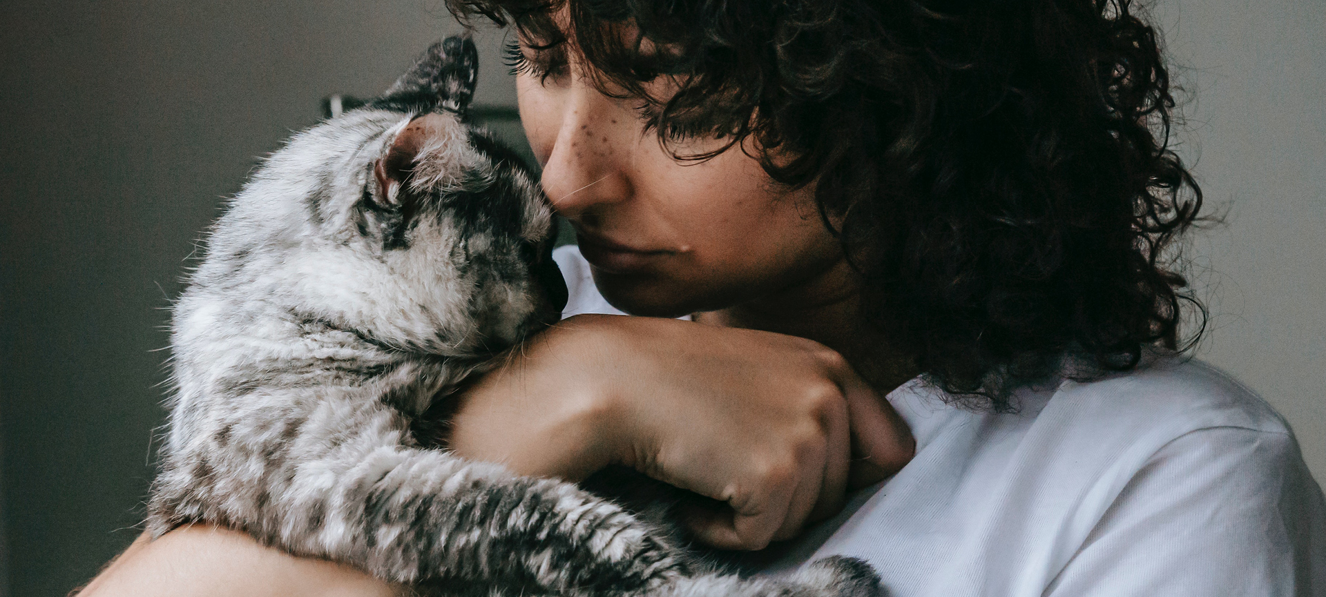 Não se culpe: é importante passar pelo luto ao perder um pet