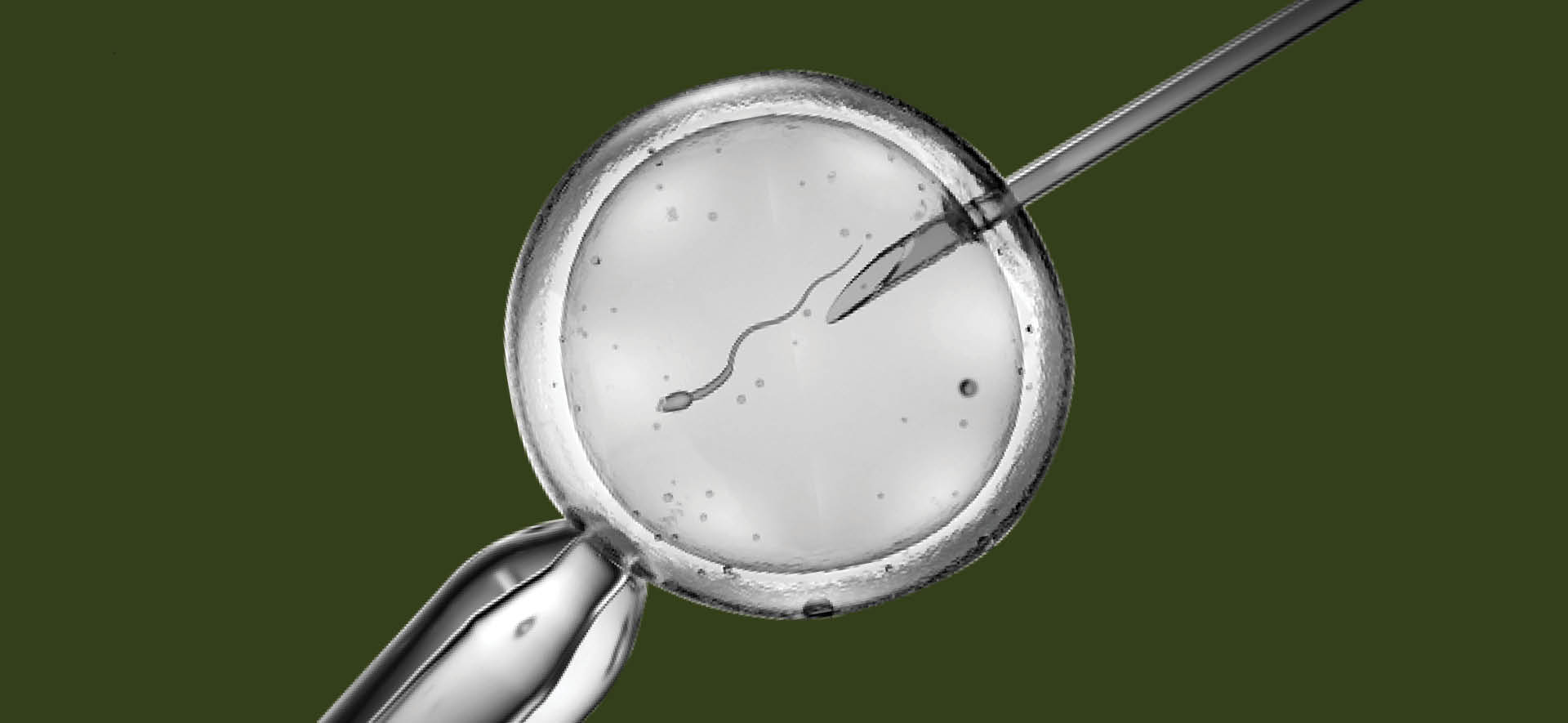 Fertilização in vitro: a mercantilização da esperança e do medo