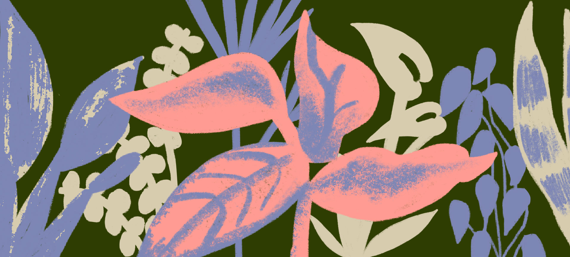 7 plantas que você não vai conseguir matar