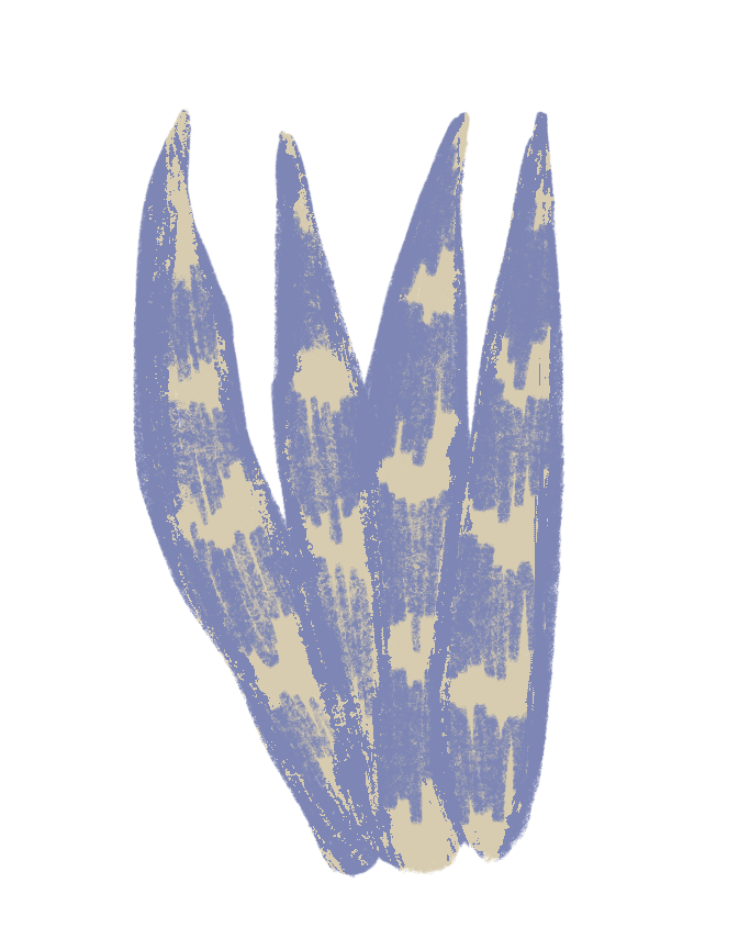 espada de sao jorge