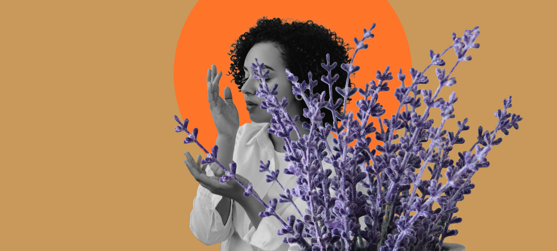Aromaterapia: os benefícios dos óleos essenciais