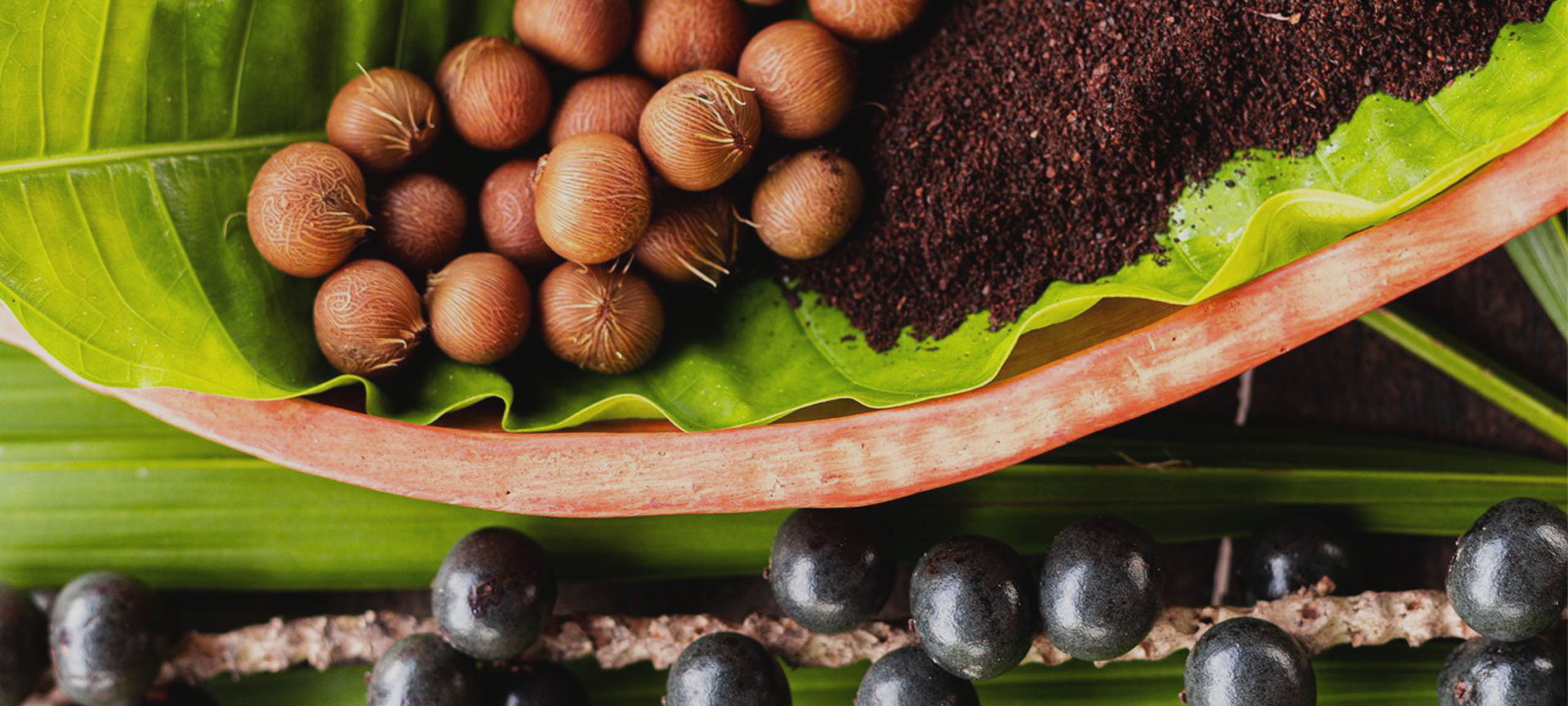 Tem iguaria nova no pedaço: café de caroço de açaí