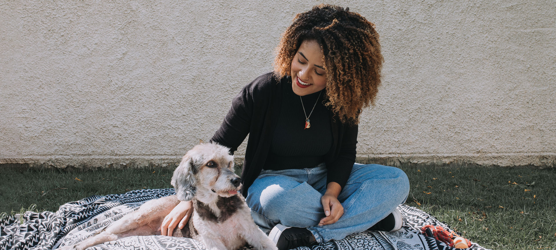Cães aflitos, tutores desesperados: como lidar com a ansiedade animal