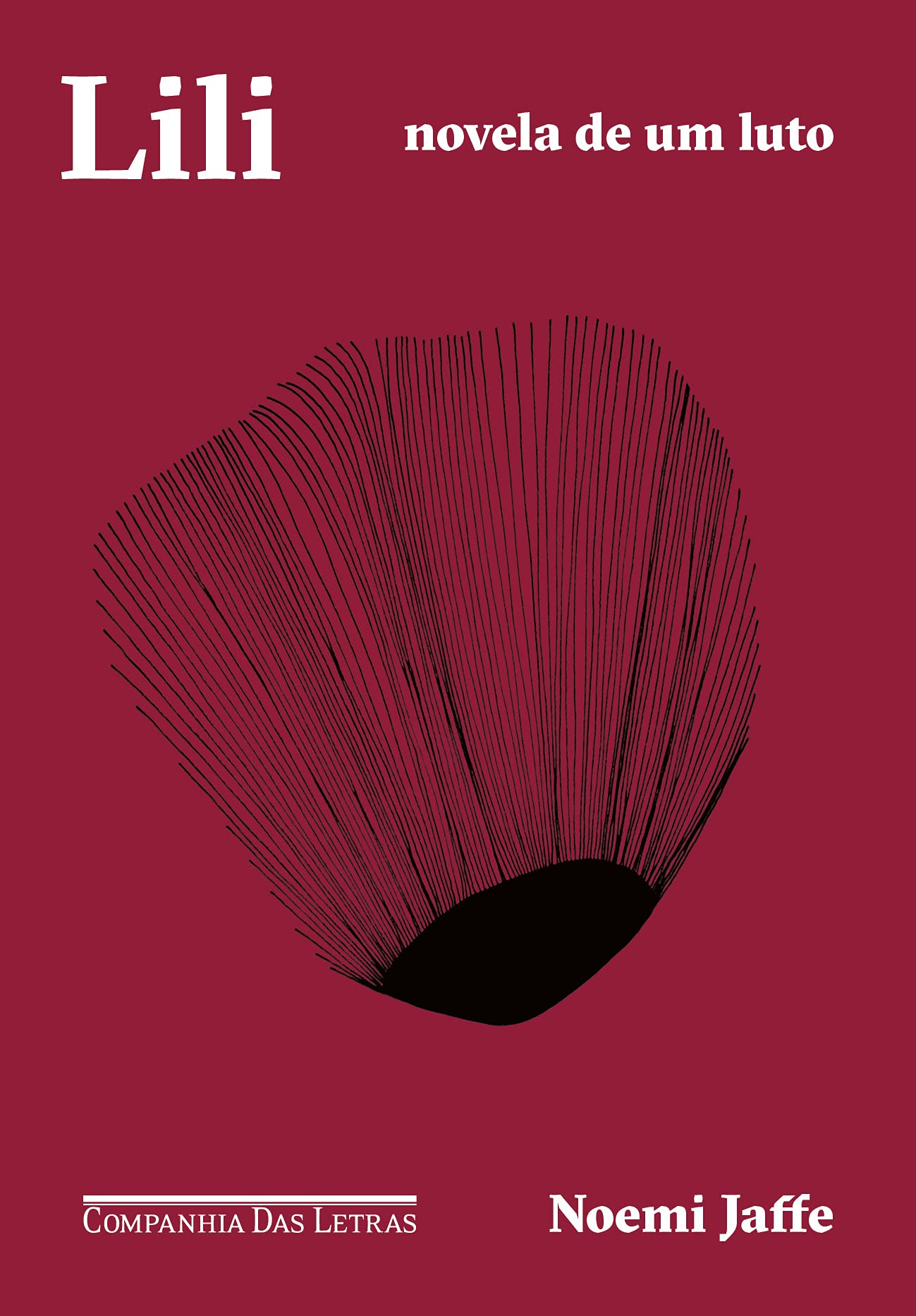 O livro Lili