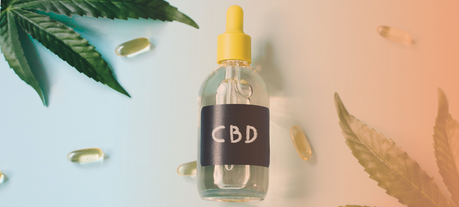 Guia para o uso do CBD, a cannabis medicinal
