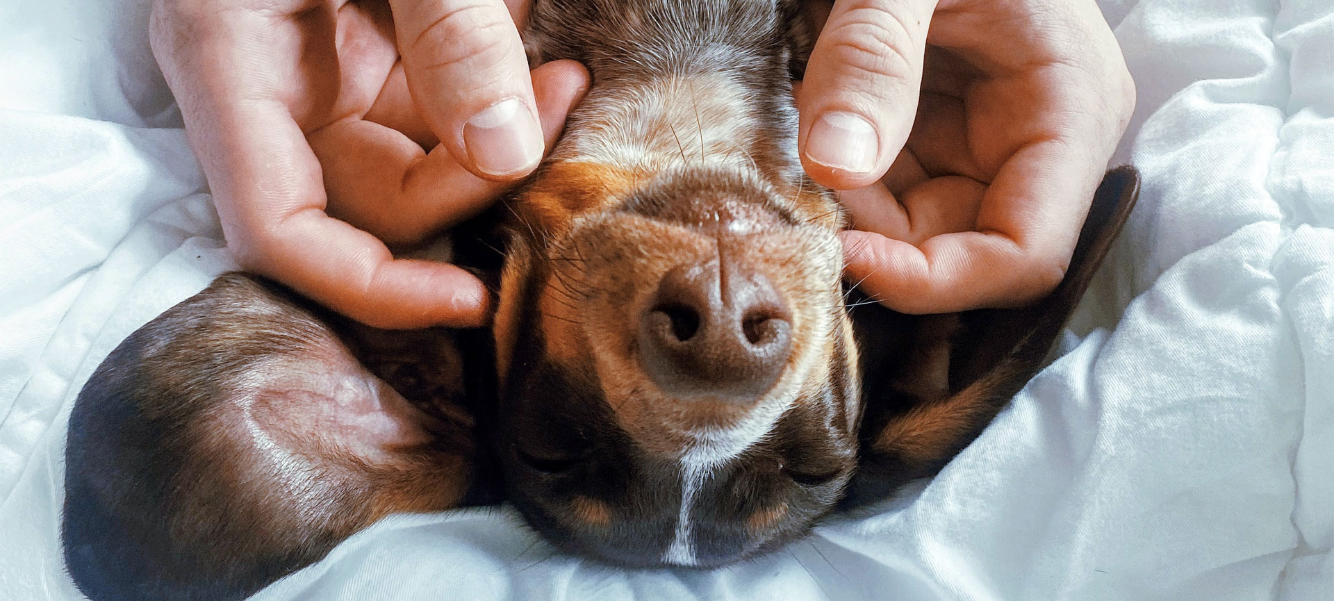 Os tipos de massagem relaxante e seus muitos benefícios